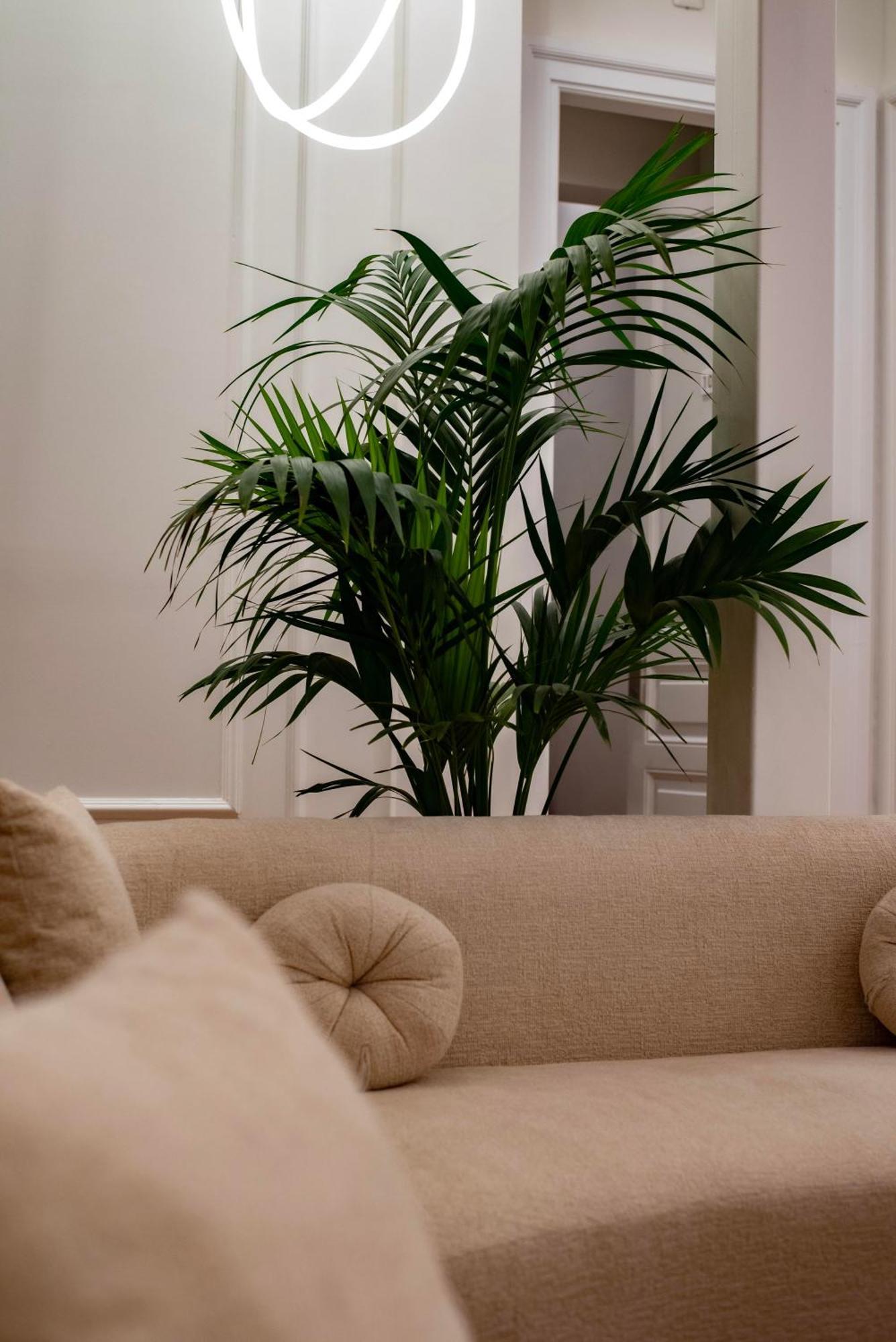 Athens Icon Collection Hotel Luaran gambar